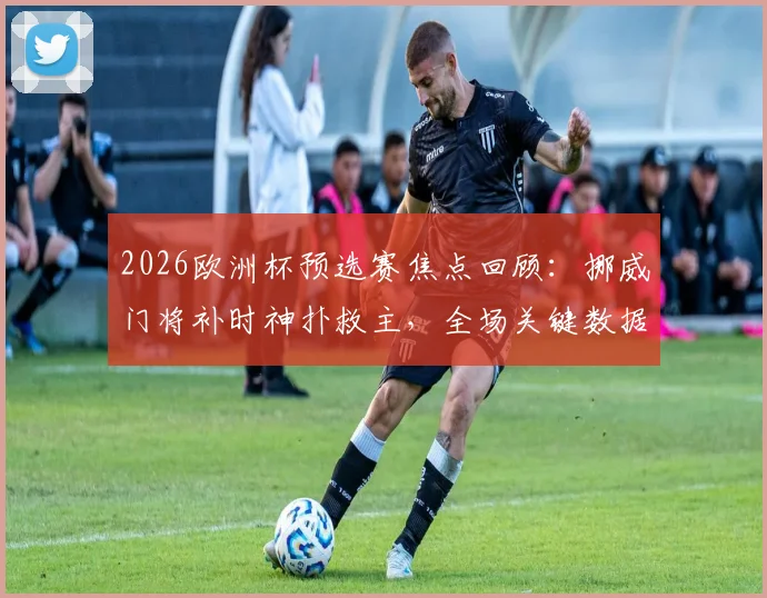 2026欧洲杯预选赛焦点回顾:挪威门将补时神扑救主,全场关键数据(4次扑救+4次解围)全解析,看门将如何力保球门不失